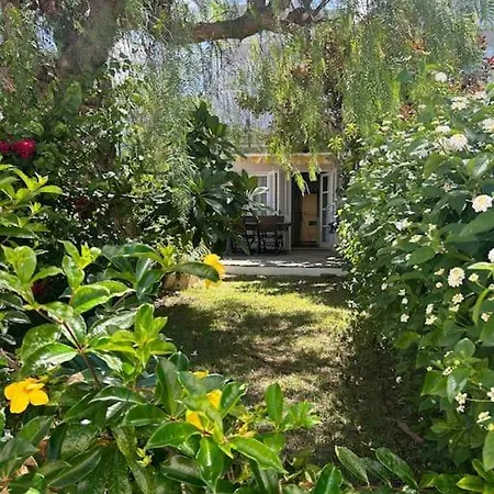 Casa Buganvilla Hébergement de vacances